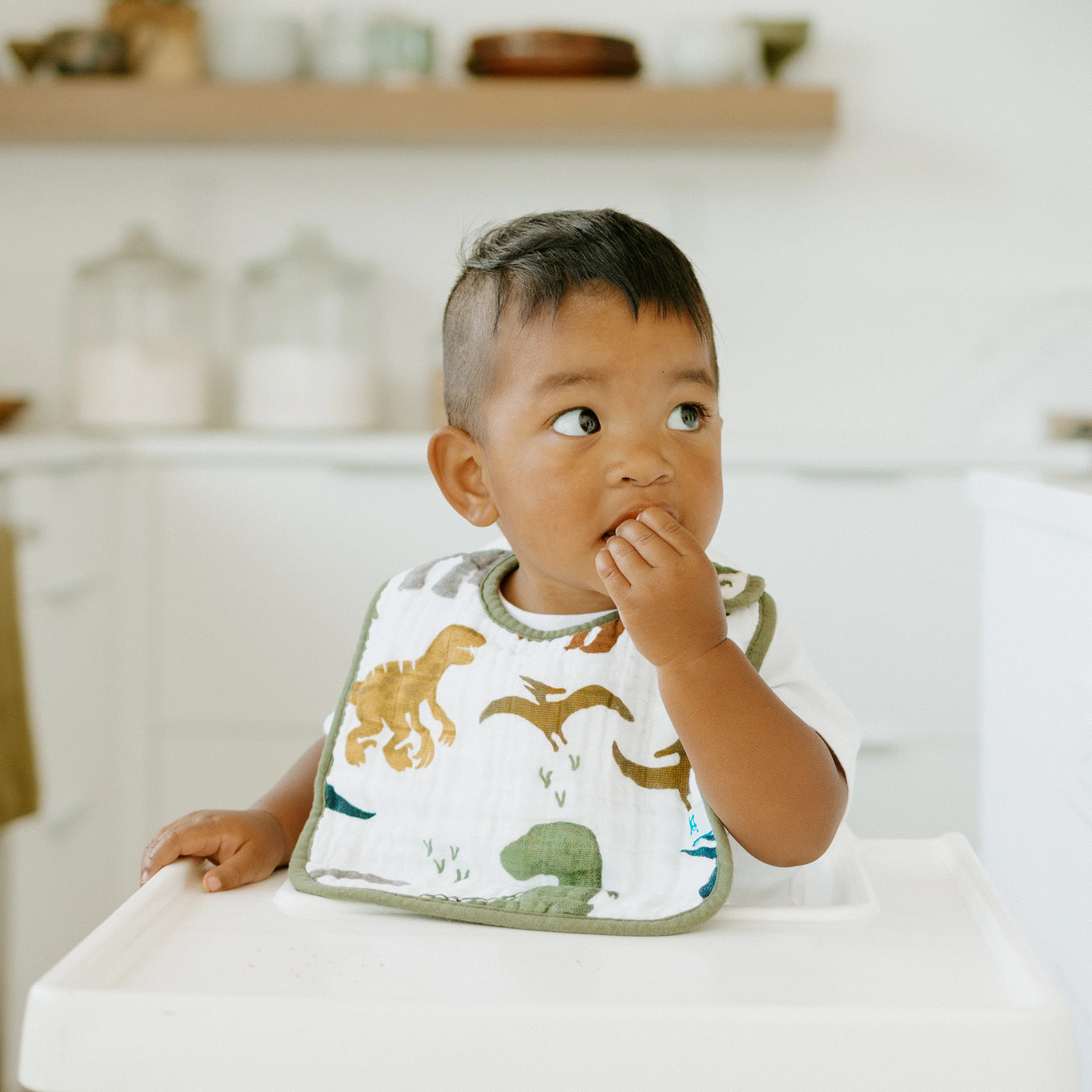 Cotton Muslin Classic Bib 3 Pack - Dino Friends 2 - Image 8