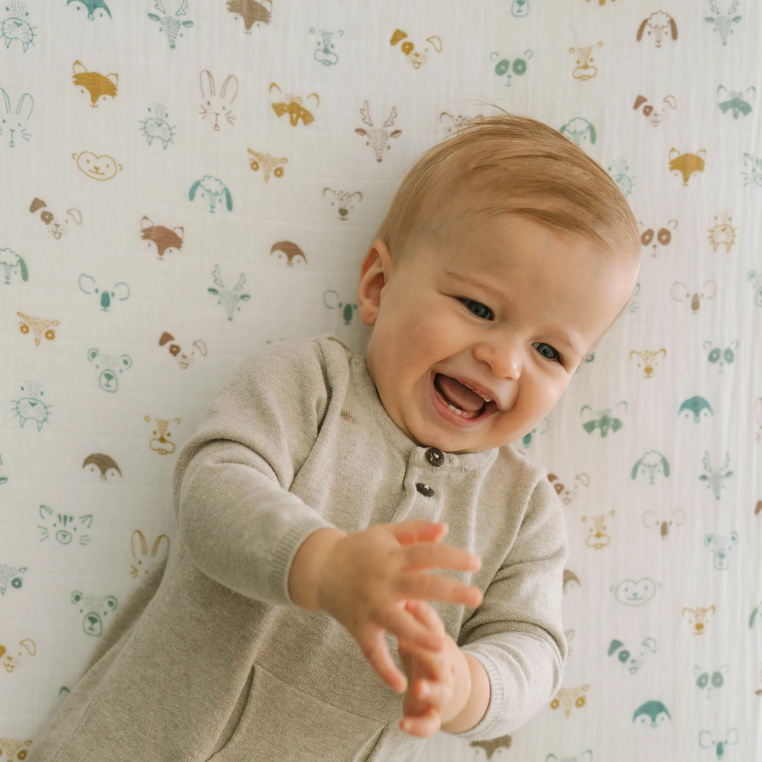 Cotton Muslin Crib Sheet - Animal Crowd - Image 4