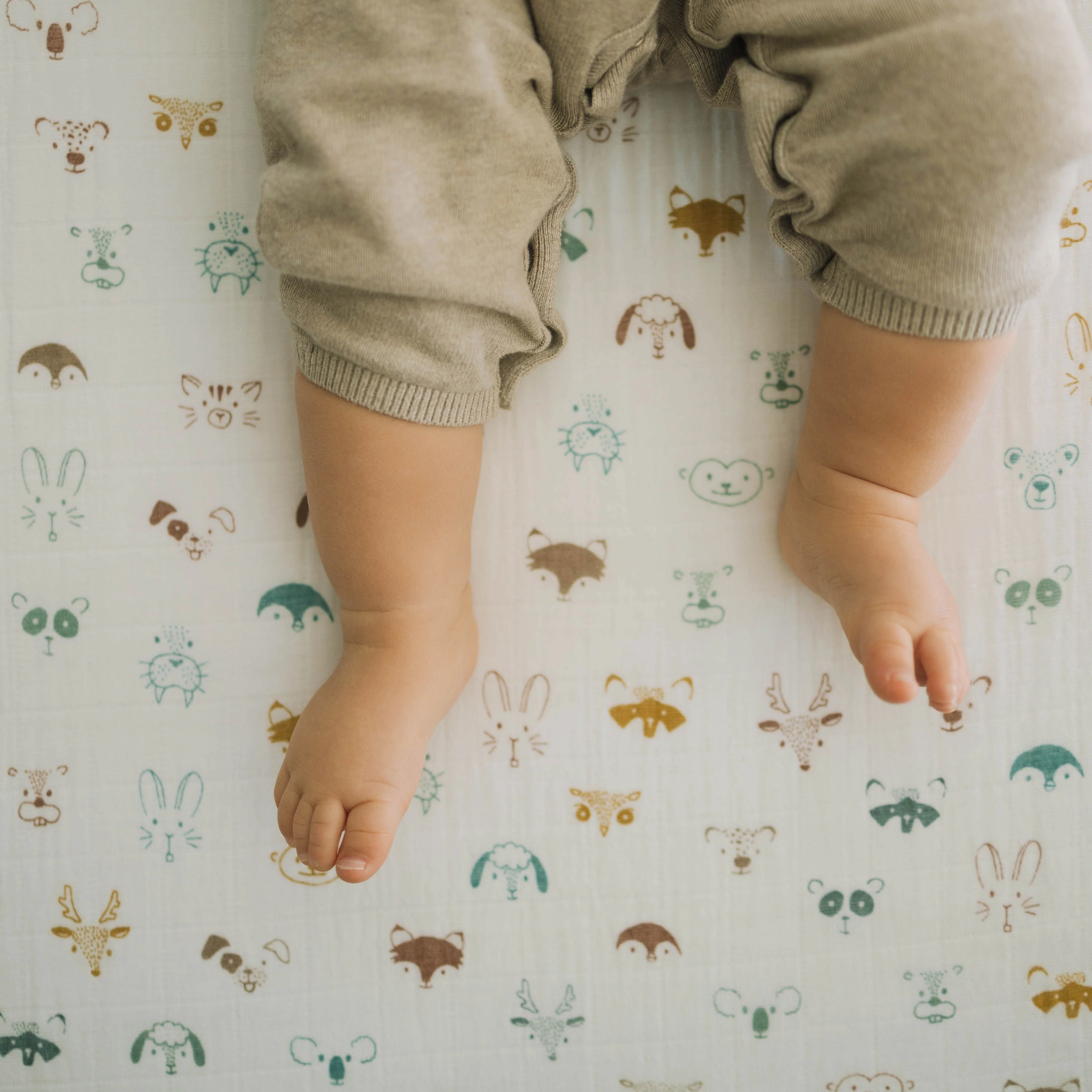 Cotton Muslin Crib Sheet - Animal Crowd - Image 5