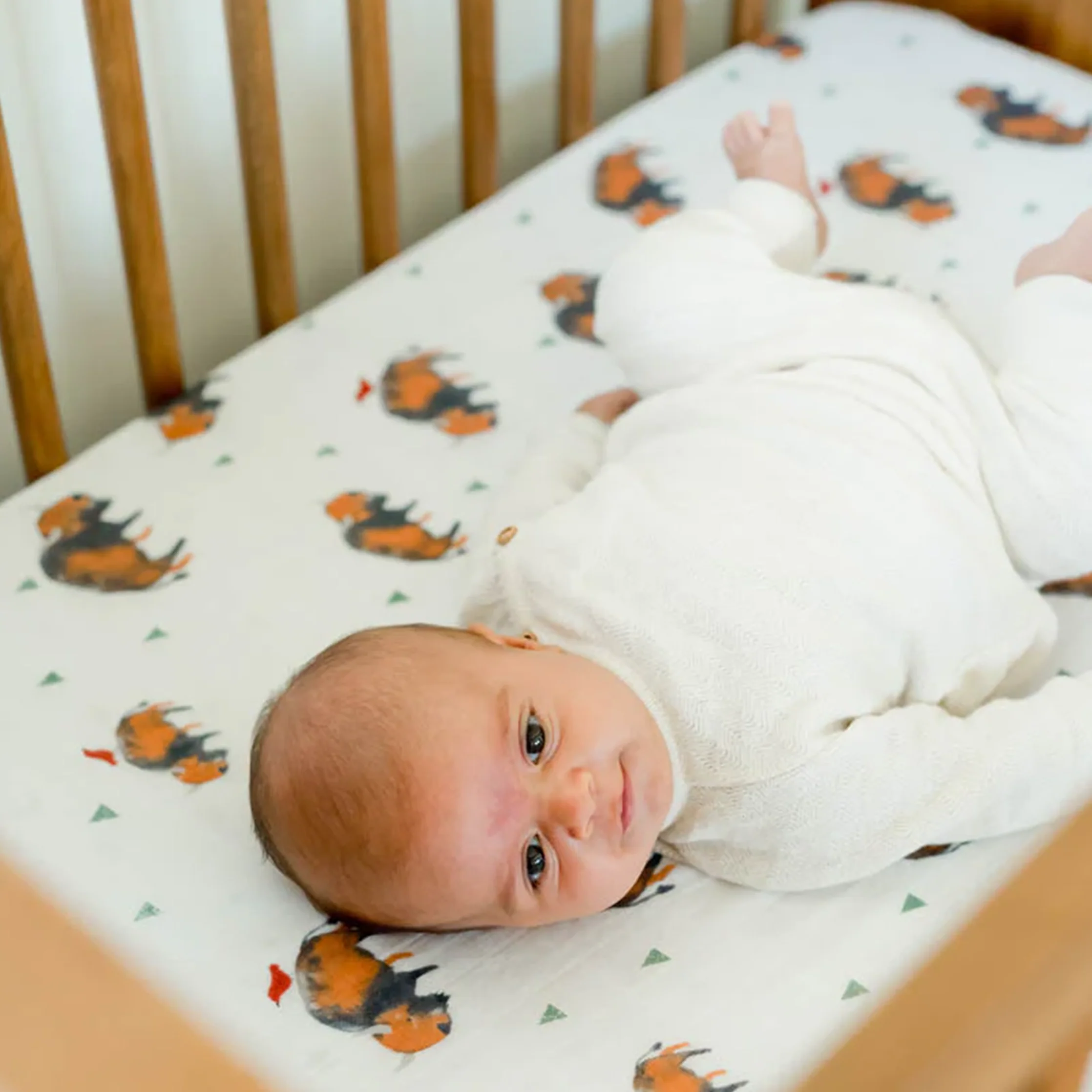 Cotton Muslin Crib Sheet - Bison - Image 5