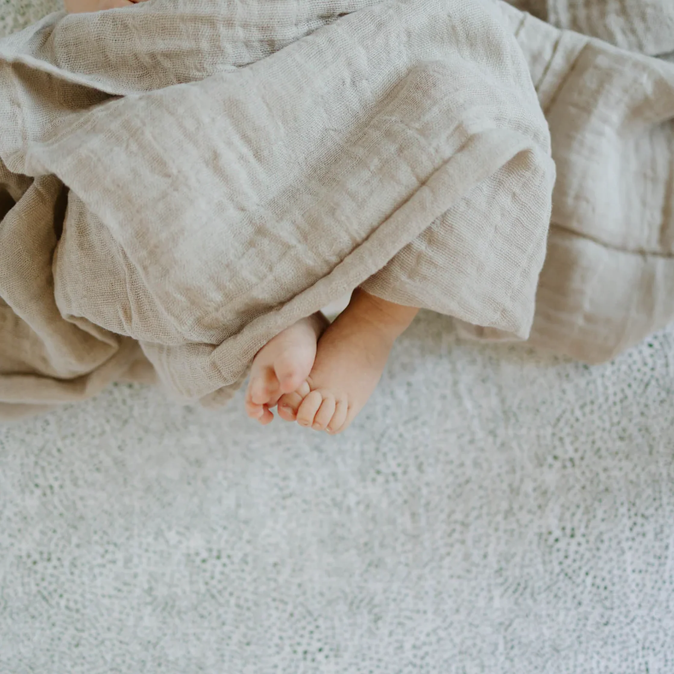 Cotton Muslin Crib Sheet - Green Seed - Image 5