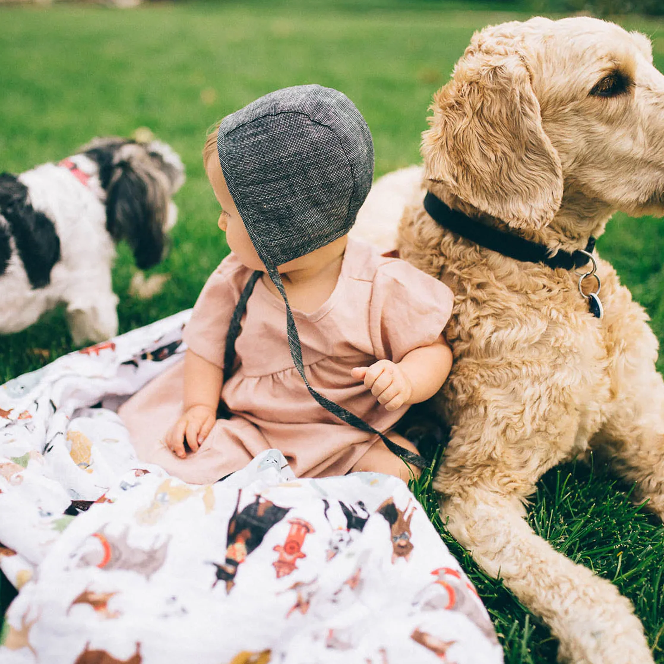 Cotton Muslin Swaddle Blanket - Woof - Image 5