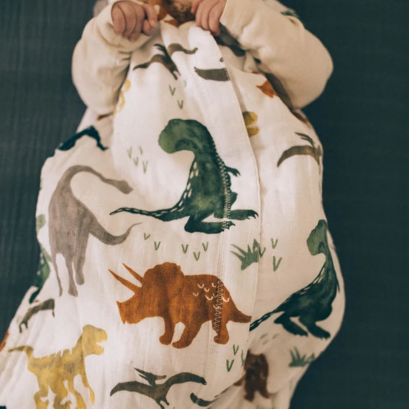 Cotton Muslin Sleep Bag - Dino Friends - Image 5