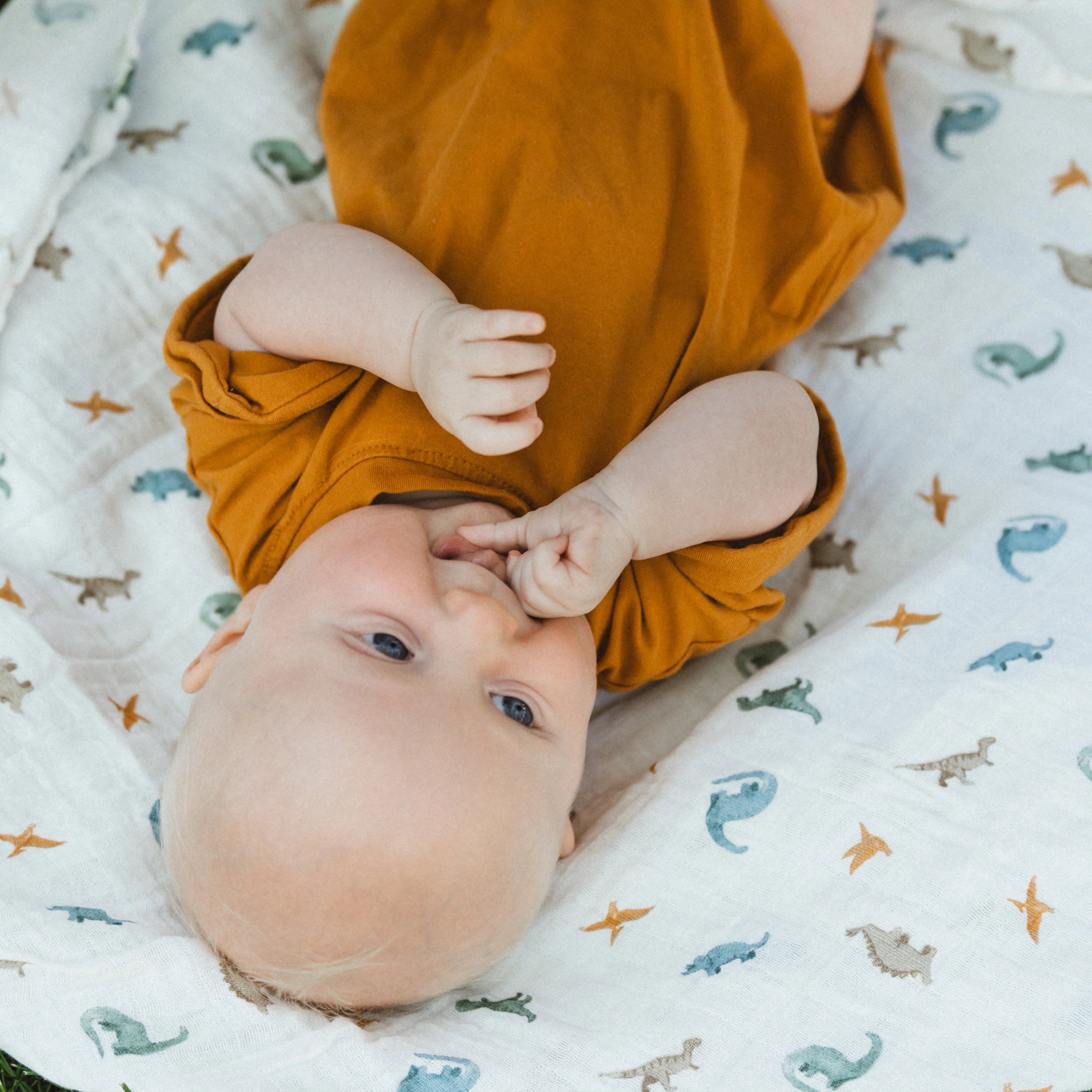 Organic Cotton Muslin Swaddle Blanket 2 Pack - Little Dino - Image 8