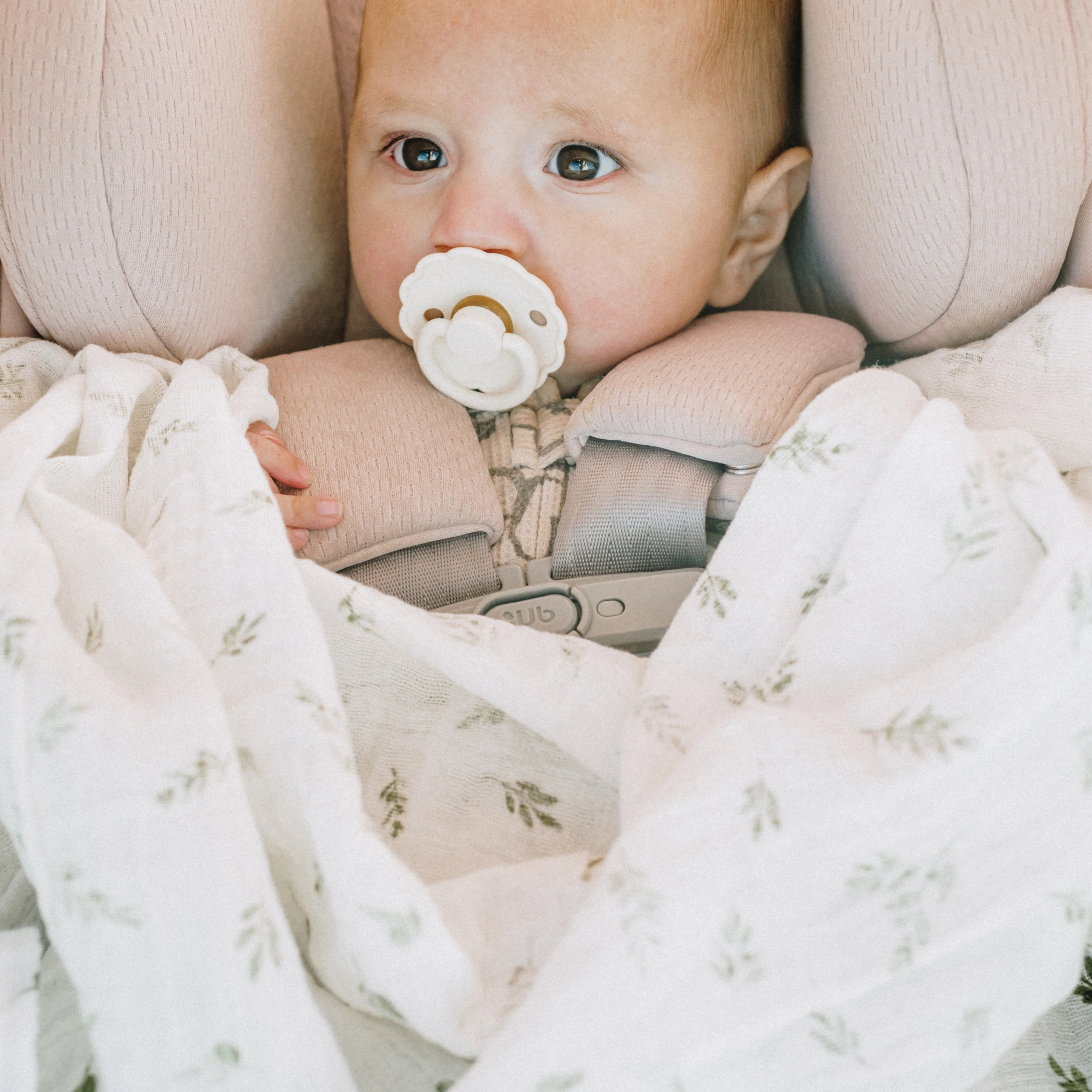 Organic Cotton Muslin Swaddle Blanket - Olive Branch - Image 6